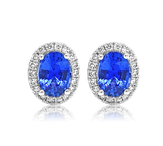 Diamond & Blue Sapphire Earrings - YJC2525E
