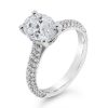 Oval Cut Diamond Cathedral Engagement Ring - ACB405